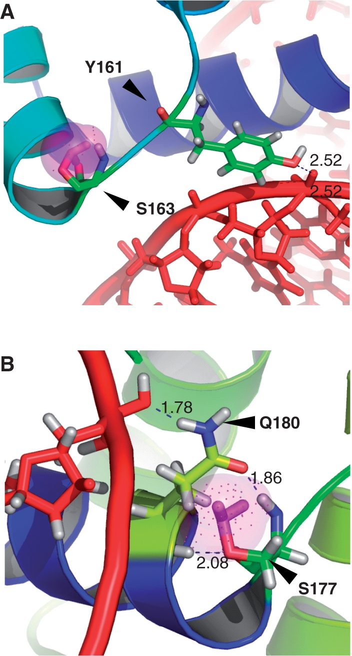 Figure 7.