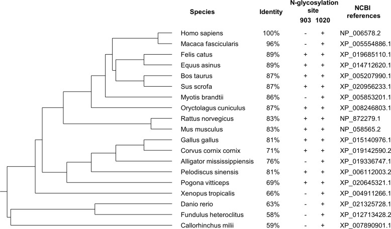 Figure 1—figure supplement 1.