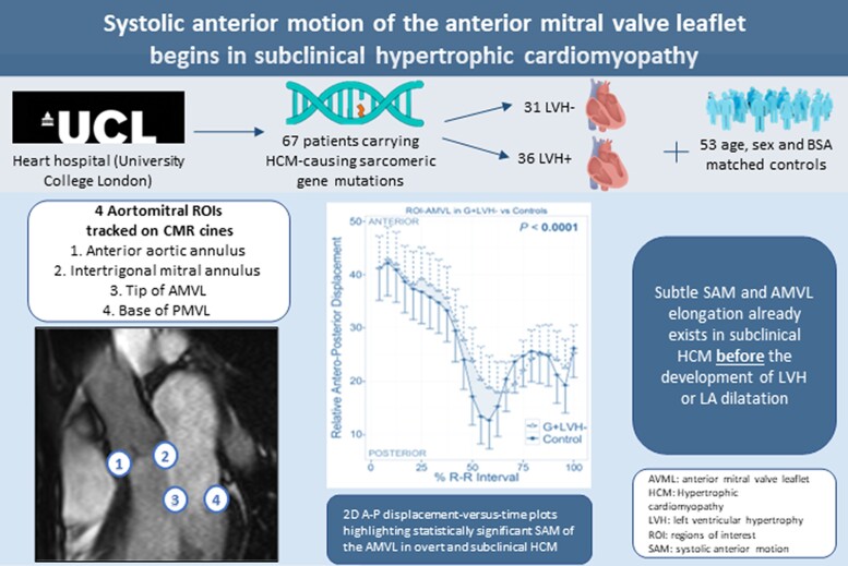 Graphical Abstract