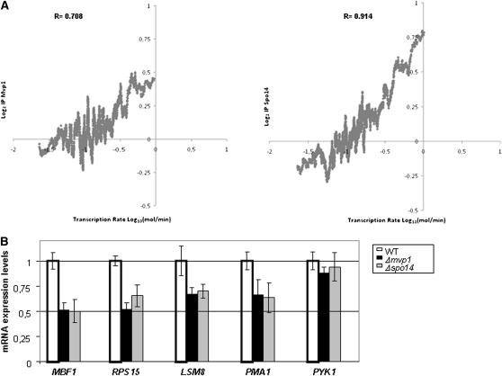 Figure 6 