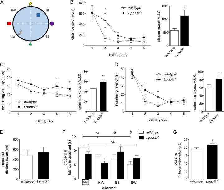 FIG 1