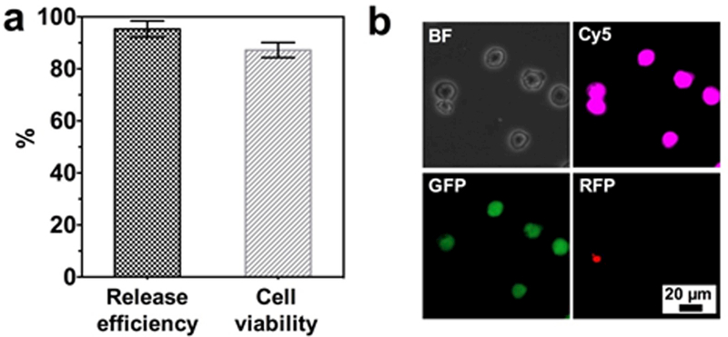 Figure 7.