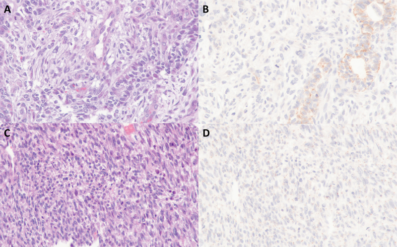 Figure 2: