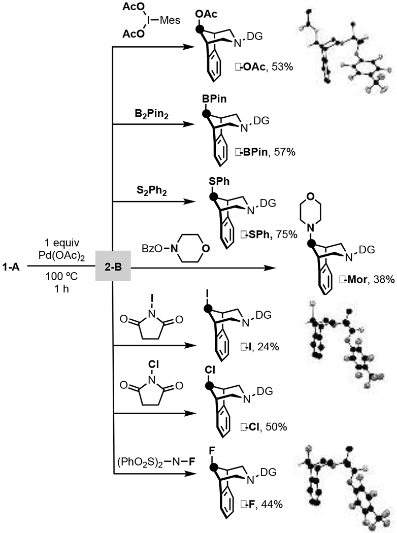 Scheme 4.