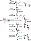 Scheme 4.