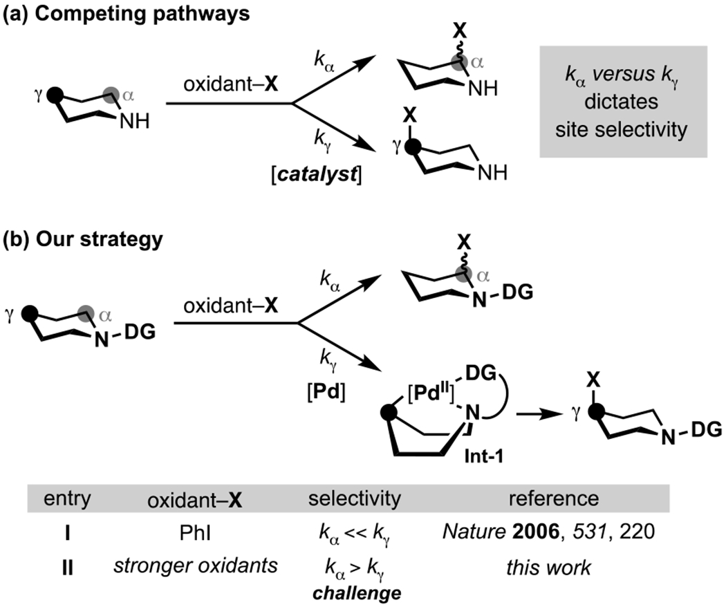 Scheme 1.