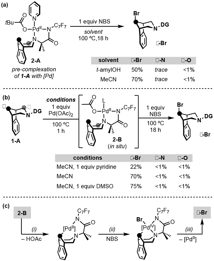 Scheme 3.