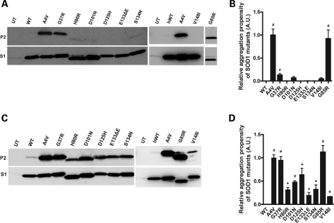 Figure 2.