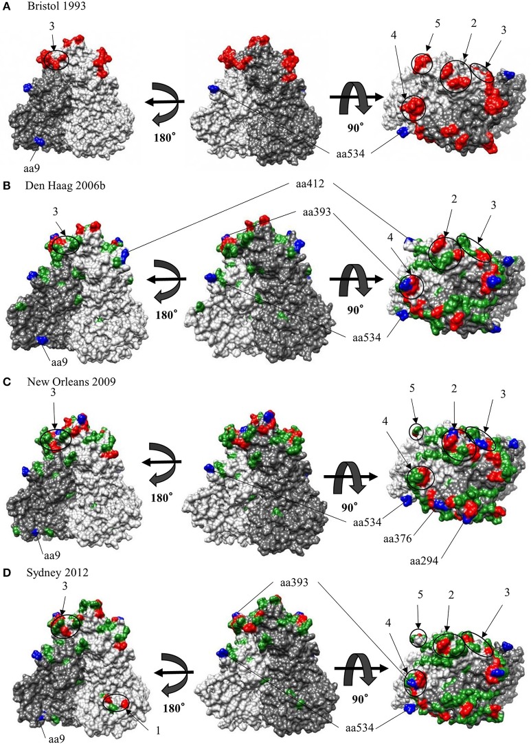 Figure 5