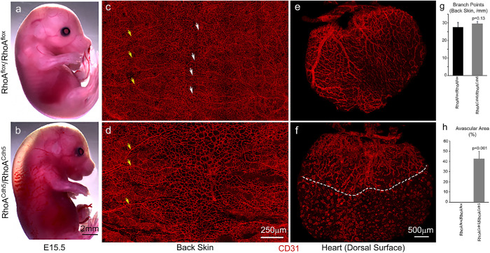 FIGURE 9: