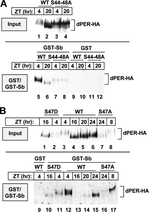 Figure 5.