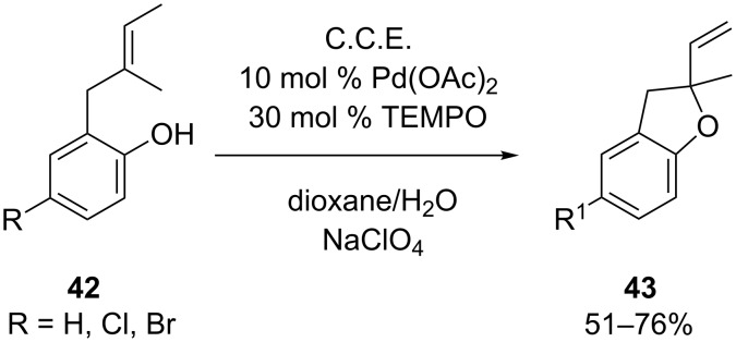 Scheme 16