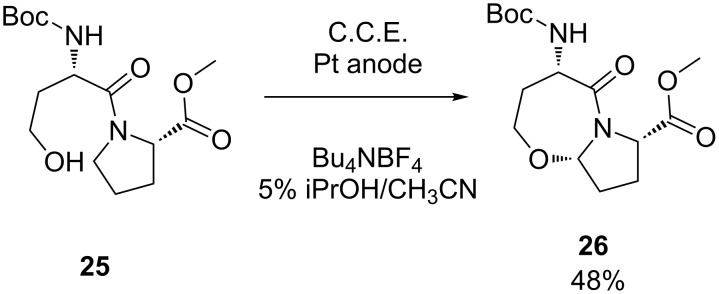 Scheme 10