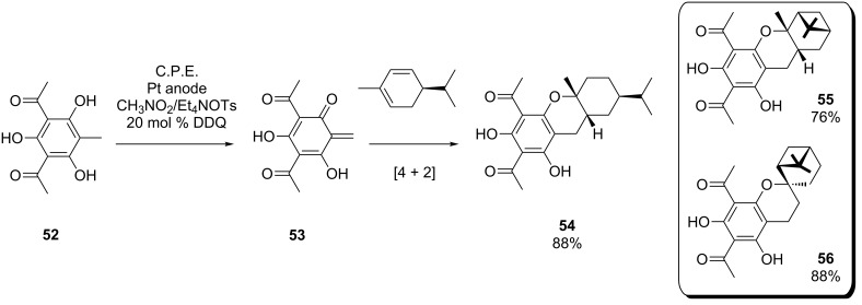 Scheme 20