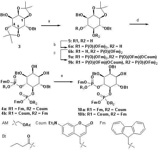 Chemical structure 1.