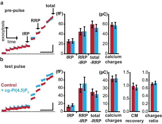 Figure 4—figure supplement 1.