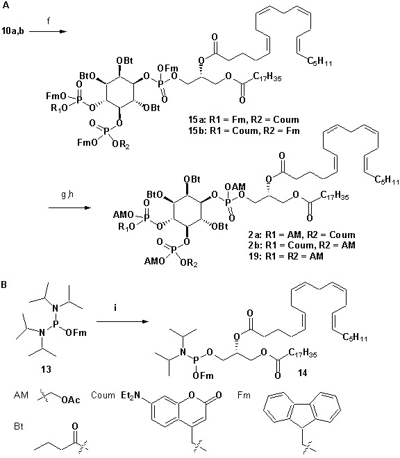 Chemical structure 3.