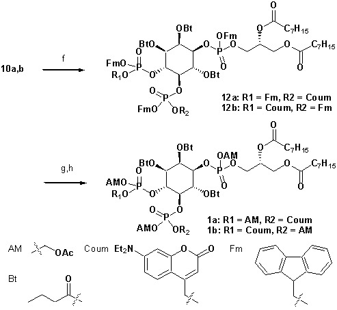 Chemical structure 2.