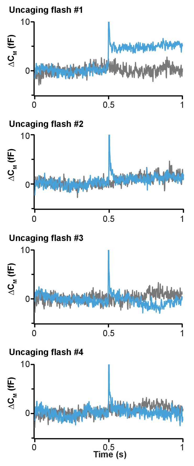 Figure 7—figure supplement 1.