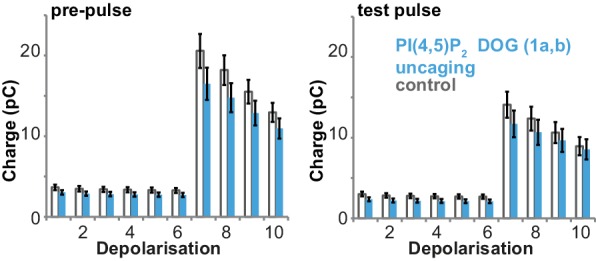 Figure 4—figure supplement 2.