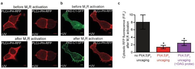 Figure 2—figure supplement 1.