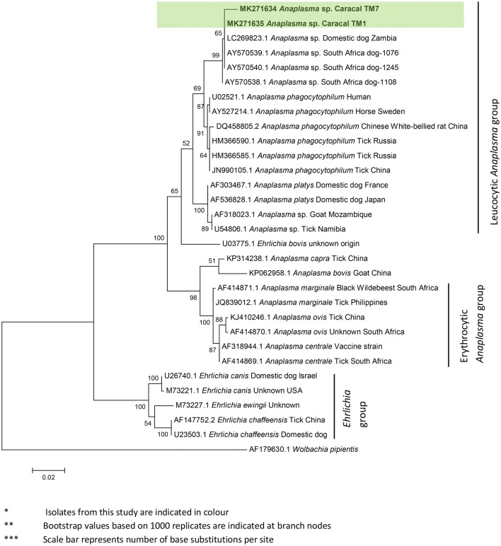 Fig. 1