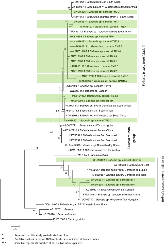 Fig. 2