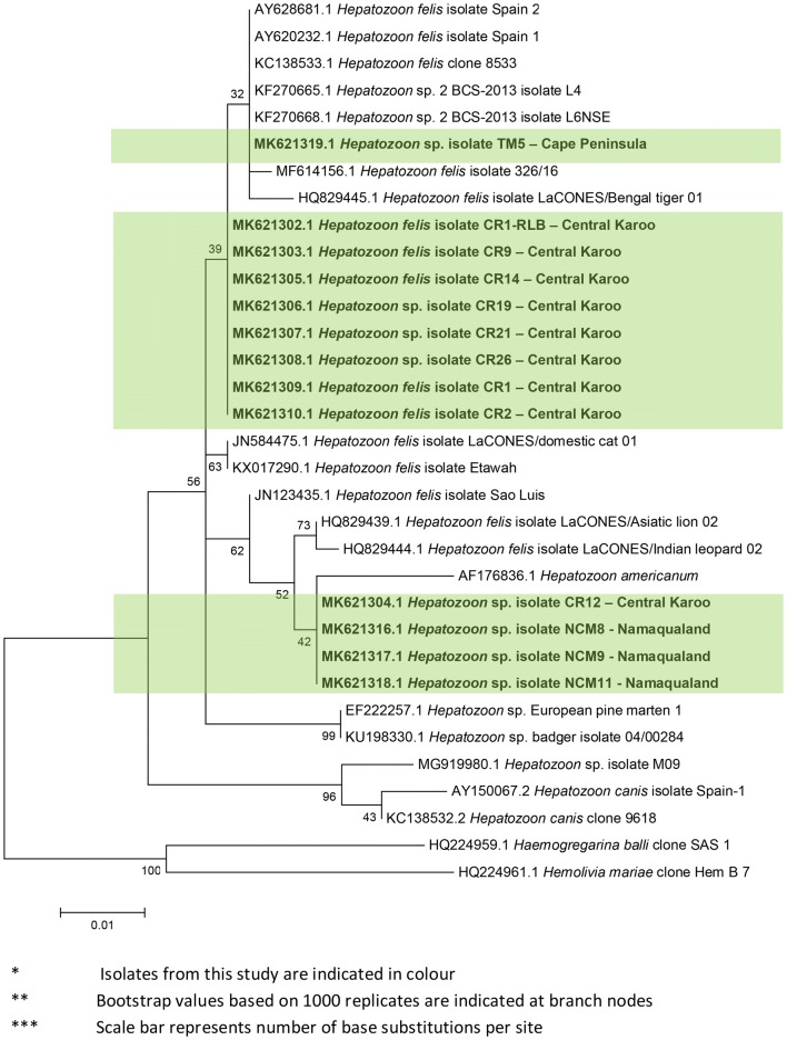 Fig. 3