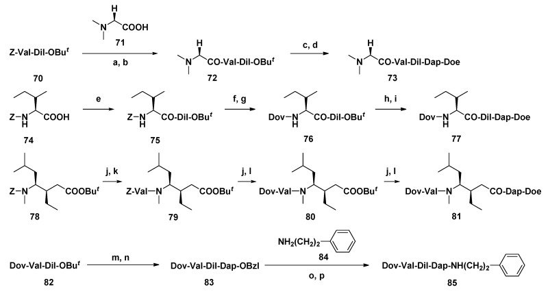 Scheme 6