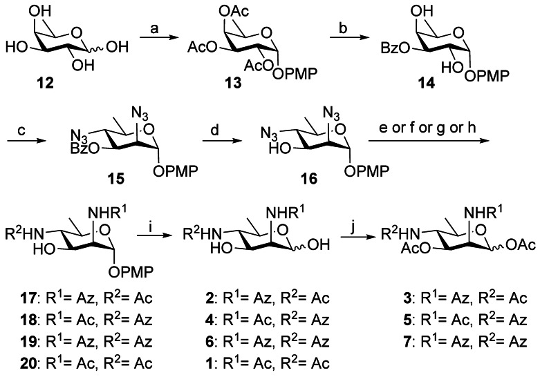 Scheme 2