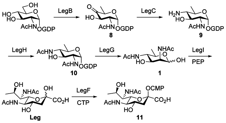 Scheme 1