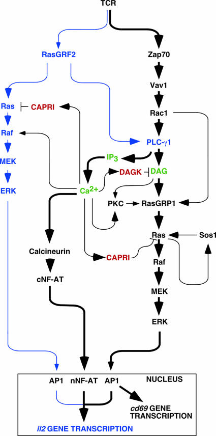 FIG. 10.