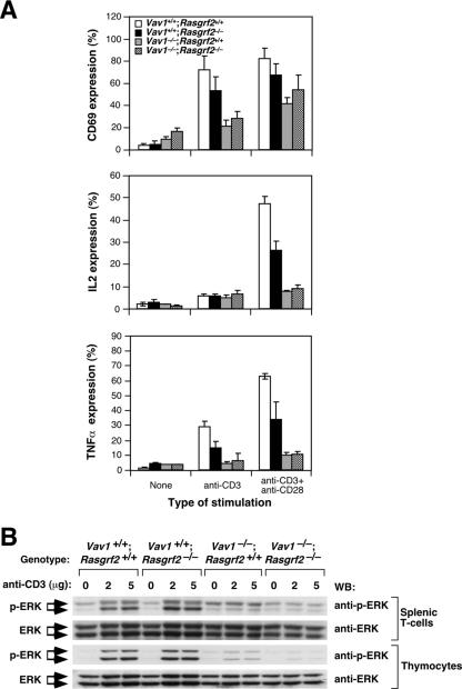 FIG. 9.