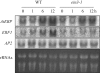 F<sc>ig</sc>. 4.