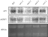 F<sc>ig</sc>. 3.