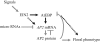 F<sc>ig</sc>. 7.