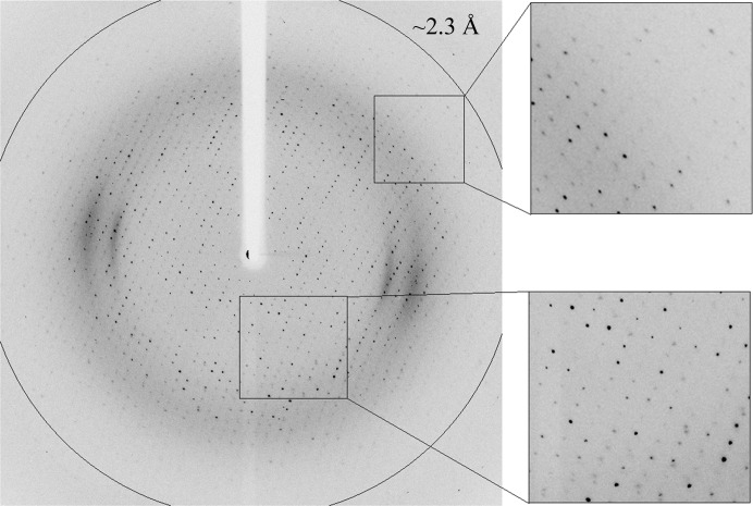 Figure 4