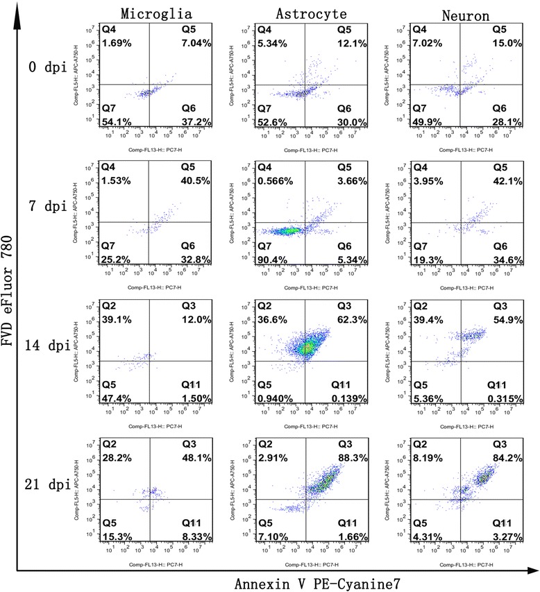 Fig. 13