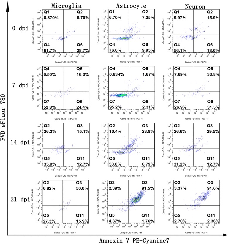 Fig. 12