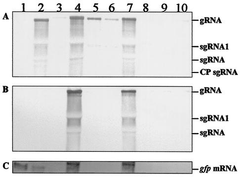 FIG. 7.