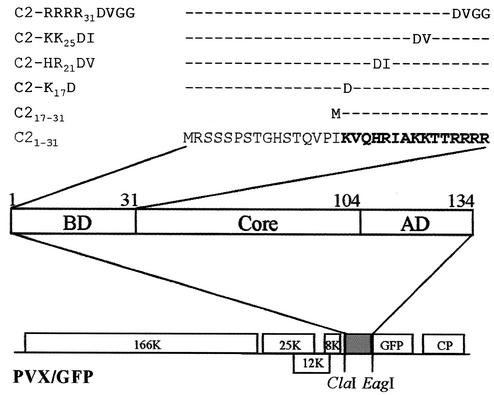 FIG. 1.