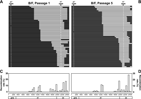 FIG. 7.