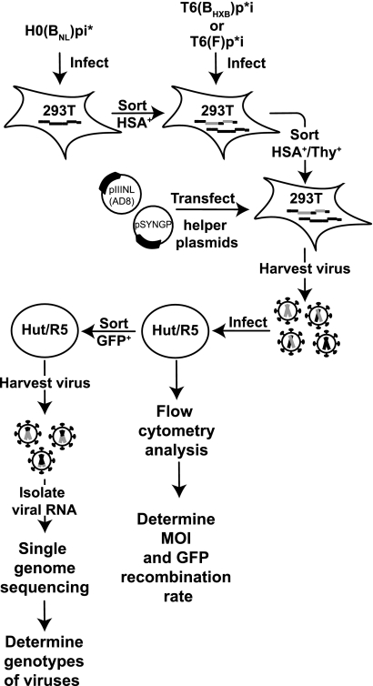 FIG. 2.