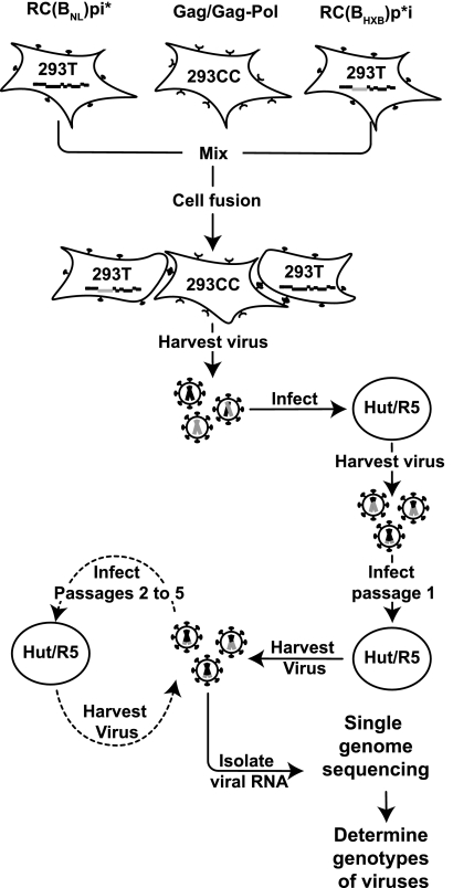 FIG. 5.