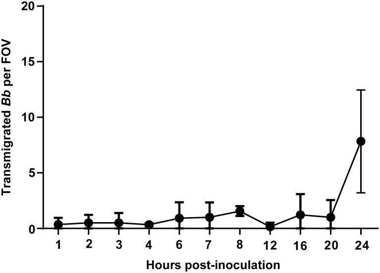 Fig 3