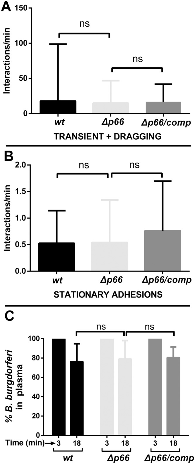 Fig 8