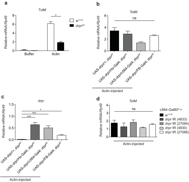 Figure 6—figure supplement 1.