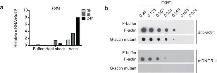 Figure 2—figure supplement 1.