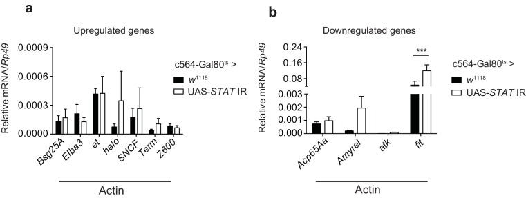 Figure 4—figure supplement 1.