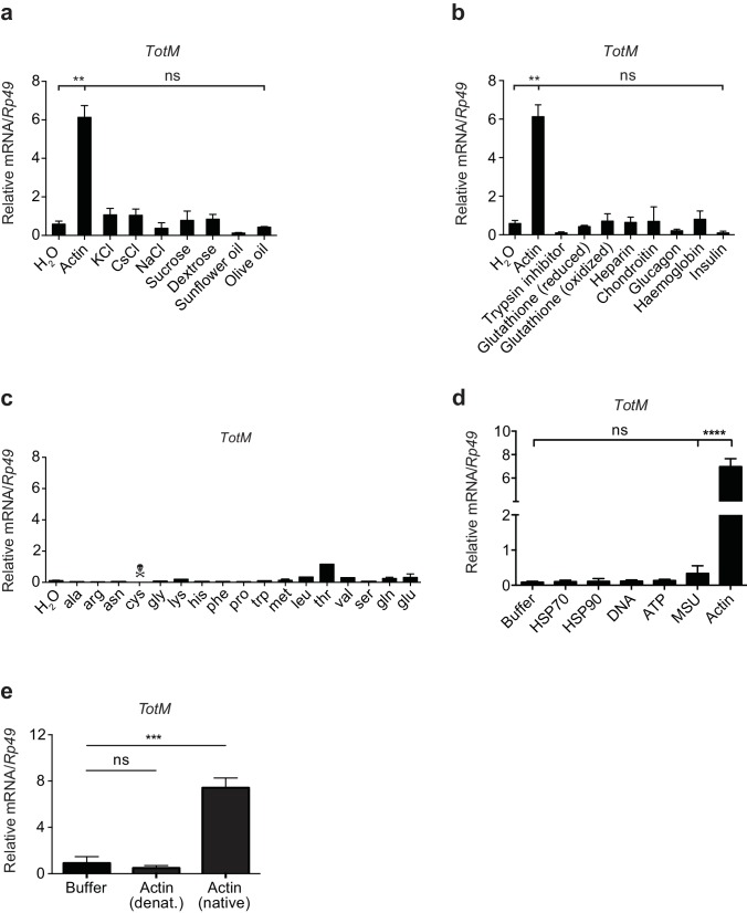 Figure 2—figure supplement 2.